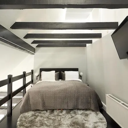 Unique 2 Bedroom Duplex W Exposed Beams In Cph * Kodaň