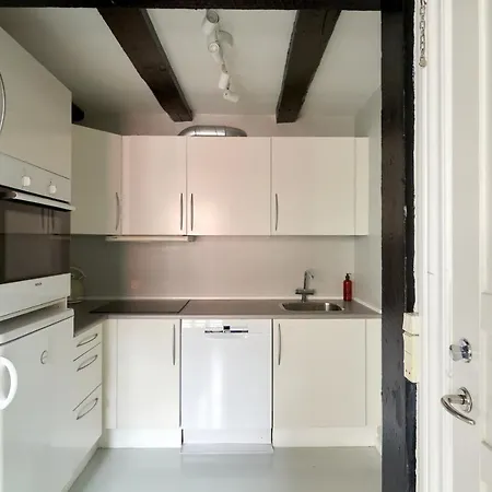 Unique 2 Bedroom Duplex W Exposed Beams In Cph * Copenhagen
