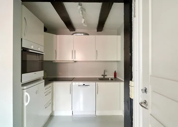Unique 2 Bedroom Duplex W Exposed Beams In Cph * Koppenhága